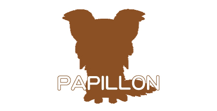 papillon